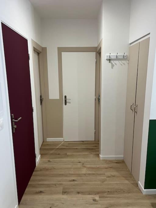Le Chaleureux Luchonnais Apartment Bagneres-de-Luchon Luaran gambar